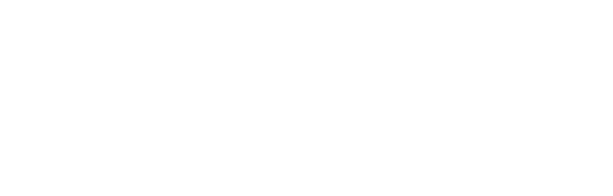 Logo Traffic Peaks
